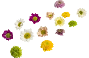 Bloem mix klein bloemig 35st